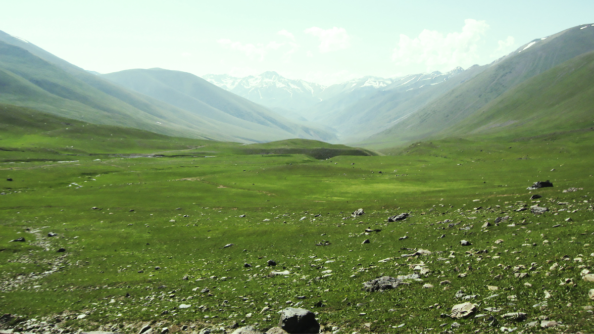 Кунгой. Жайлоо. Пейзаж Кыргызстана. Жайлоо картинки. Жайлоо рисунок.