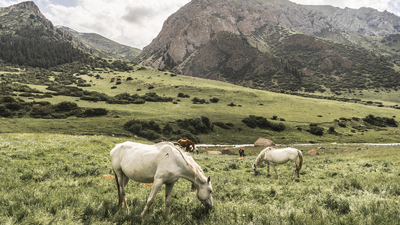 Kyrgyzstan travel with baibol