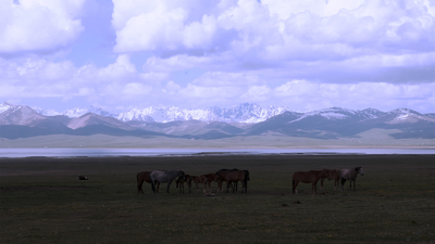 Koumys dans les montagnes kirghizes