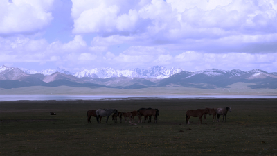 Kumys in Mountains