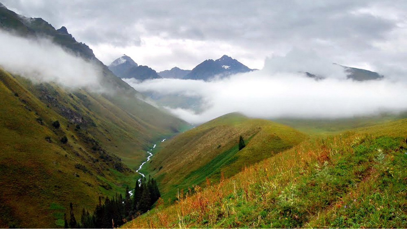 Sary Chelek nature
